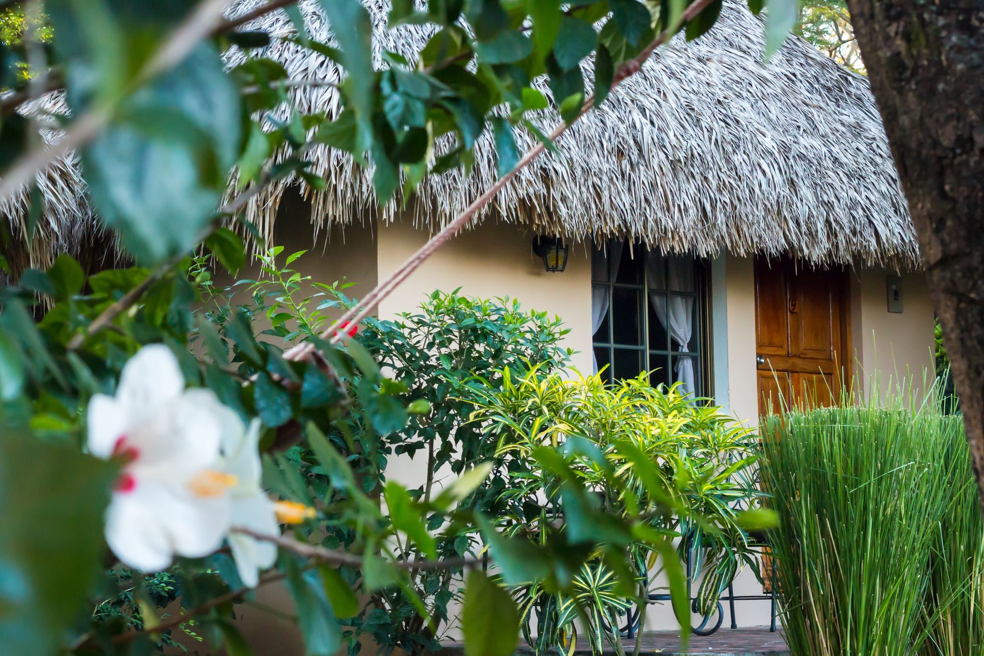 Hotel Mariposa León Esterno foto